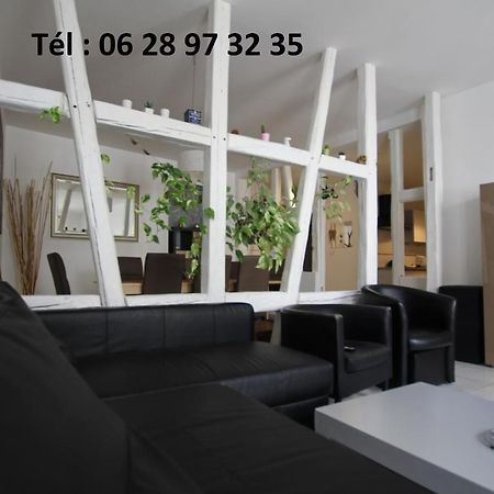 Gite Hyper Centre 10 Pers Colmar Exterior foto
