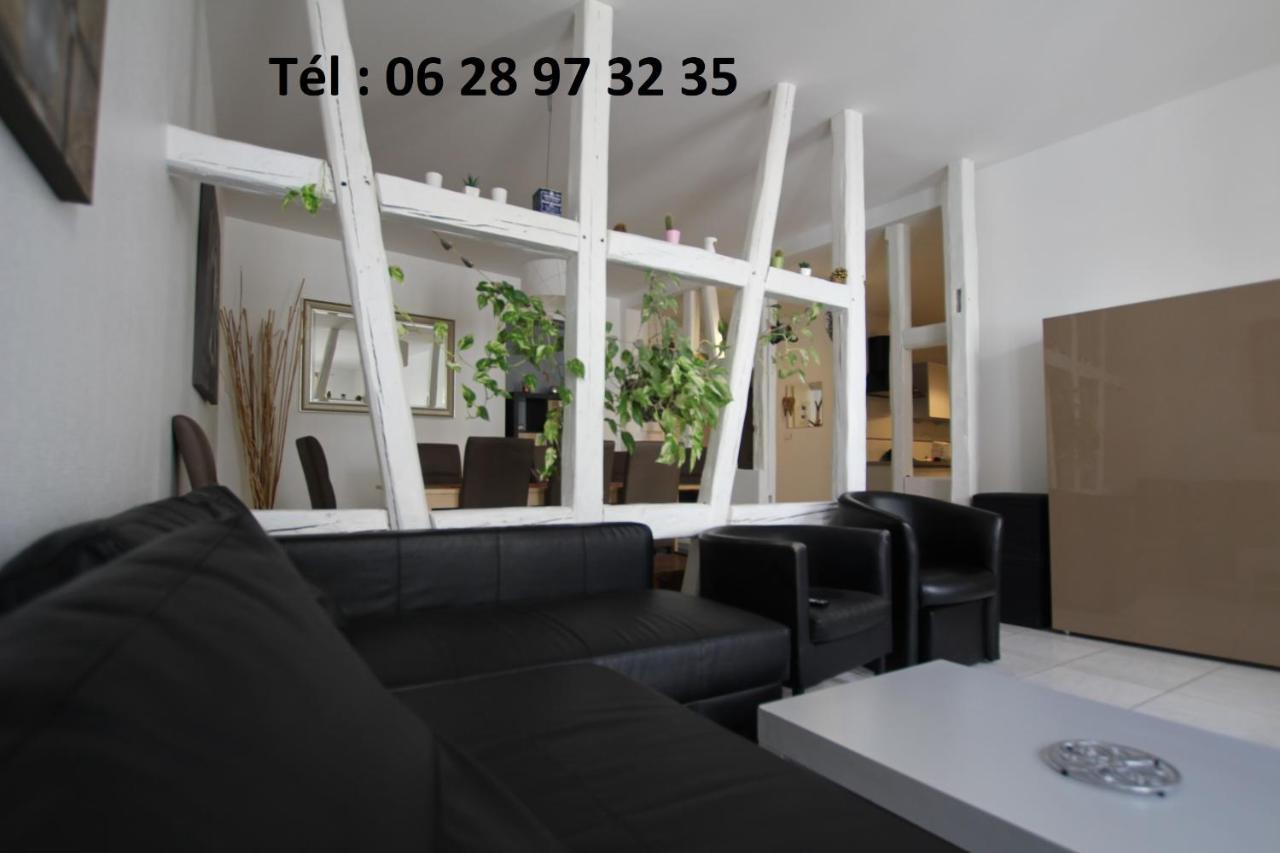 Gite Hyper Centre 10 Pers Colmar Exterior foto